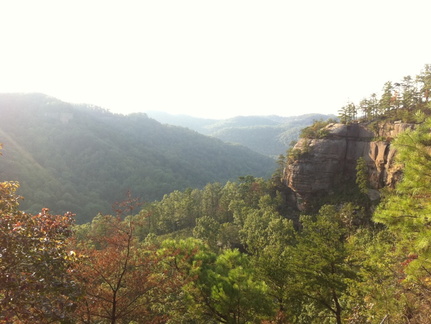 Auxier Ridge, a year after the fire